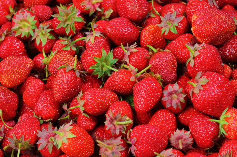 primeur-LA CRAU-min_strawberries-528791